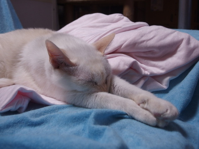 20161108yuki01.jpg