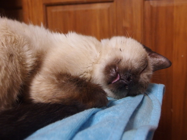 20161120milk07.jpg