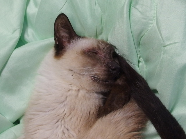20161126milk01.jpg
