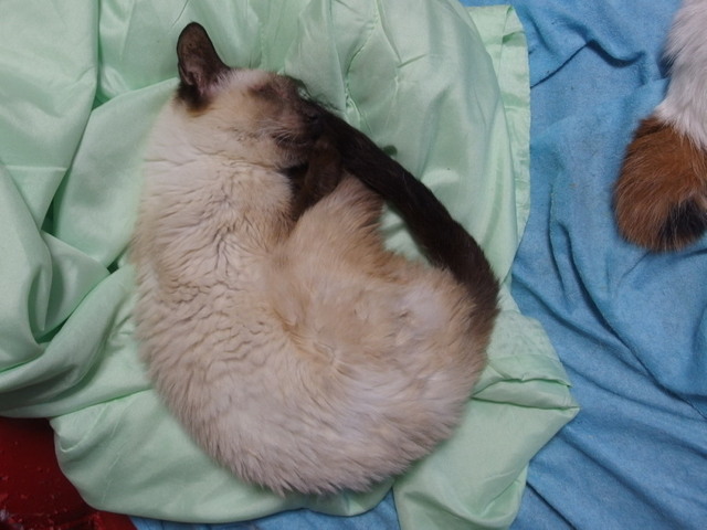 20161126milk02.jpg
