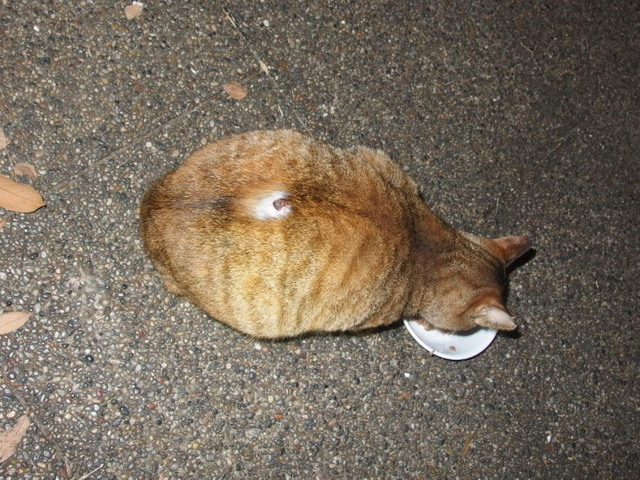 20161126park01.jpg