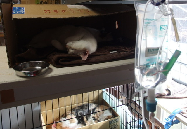20161127home01.jpg