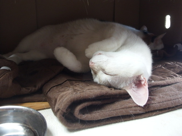 20161127yuki01.jpg