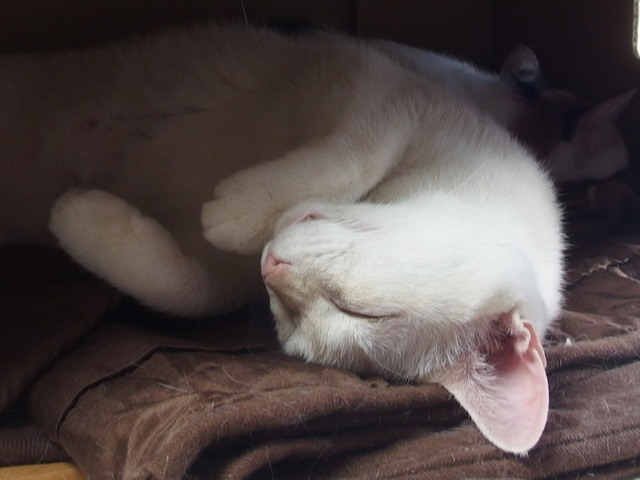 20161127yuki02.jpg