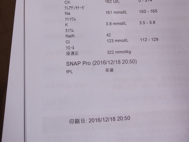20161218suzu02.jpg
