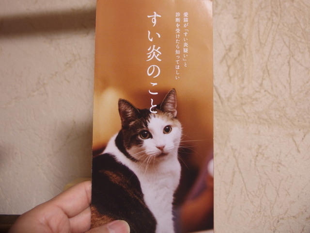 20161218suzu03.jpg