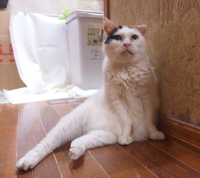 20170118oomike01.jpg