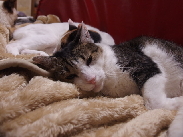 20170130home05.jpg