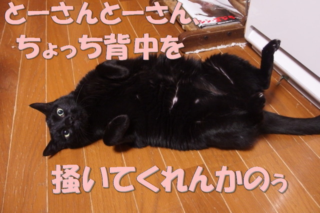 20170227kuro05.jpg