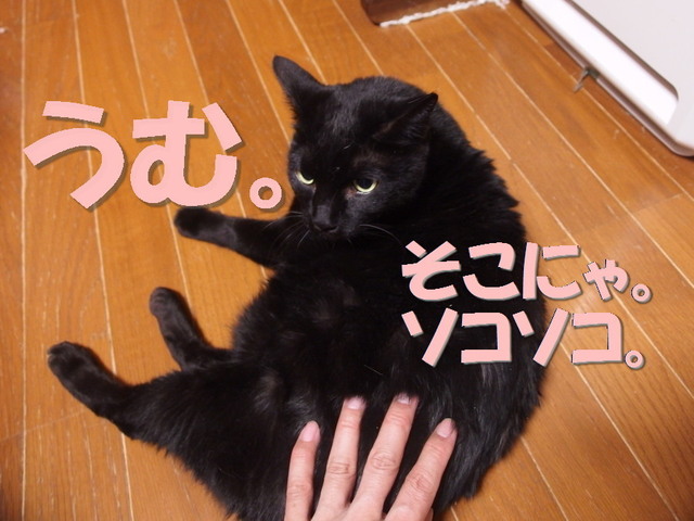 20170227kuro06.jpg