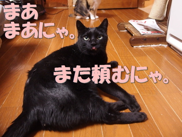 20170227kuro07.jpg