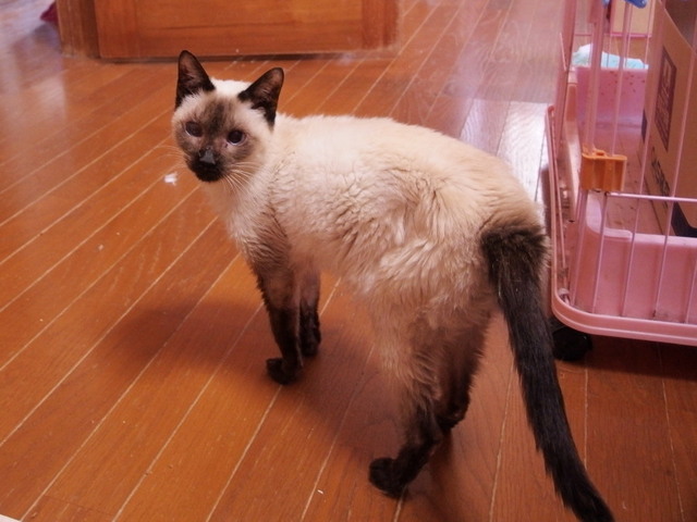 20170319milk01.jpg