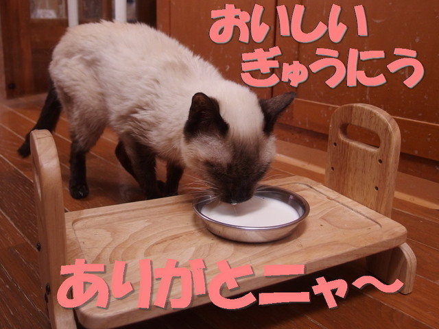 20170325milk.jpg