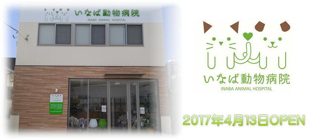 20170415inaba.jpg