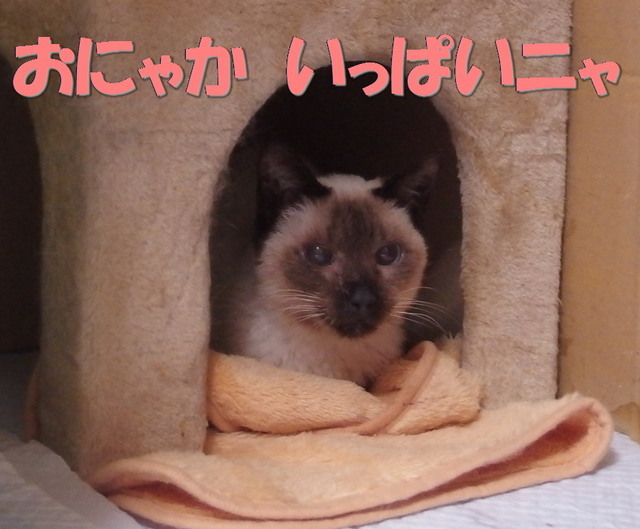 20170510milk09.jpg