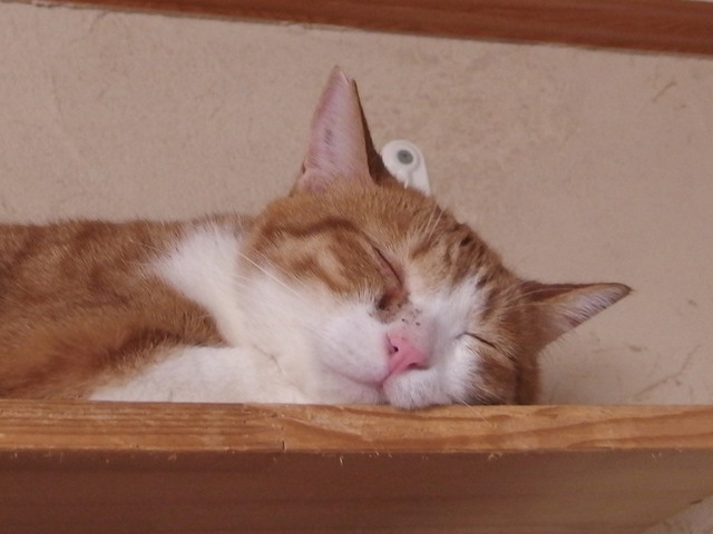 20170524mai01.jpg