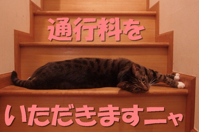 20170618kokoro12.jpg