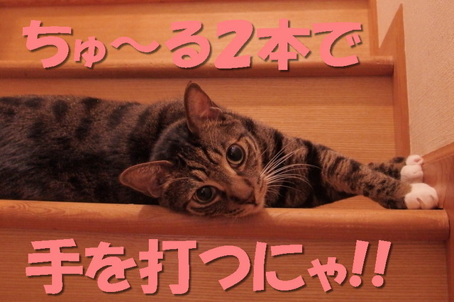 20170618kokoro13.jpg