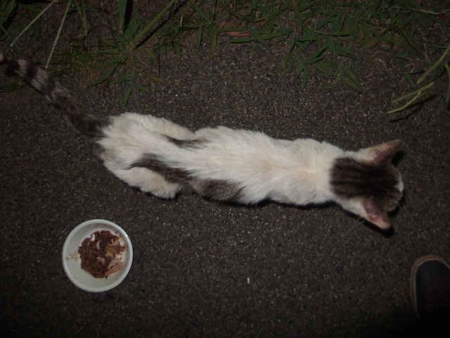 20170723mizu01.jpg