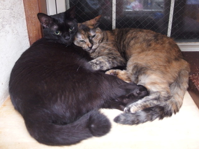 20170728kuu01.jpg