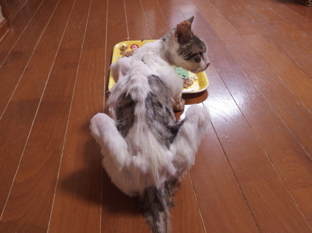 20170728mizu04.jpg