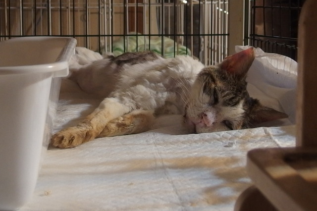20170801mizu01.jpg