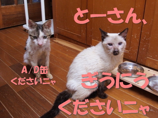 20170820milk_mizu01.jpg