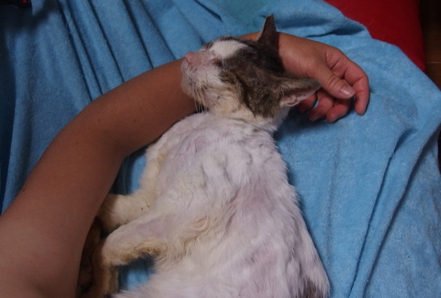 20170822mizu01.jpg