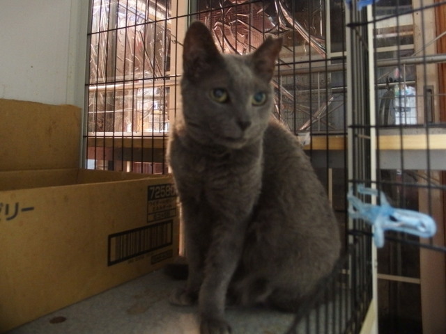 20170828ichi01.jpg