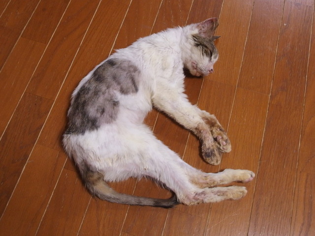 20170830mizu01.jpg
