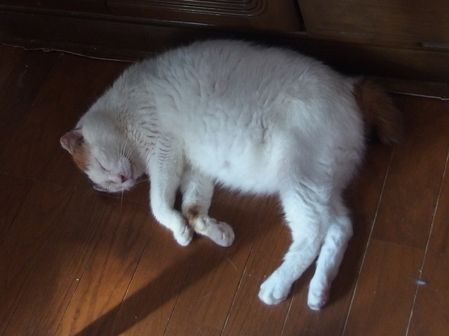 20170918oomike01.jpg