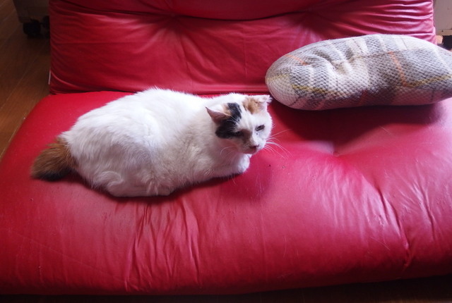 20170921sofa06.jpg