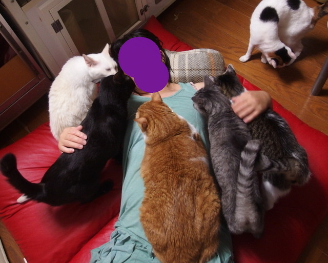 20170921sofa07.jpg