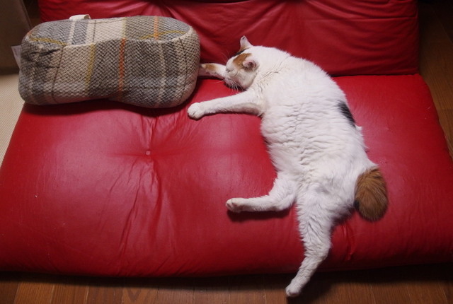 20170924sofa01.jpg