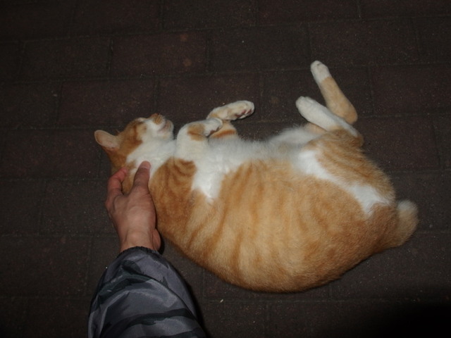 20170930jiro01.jpg