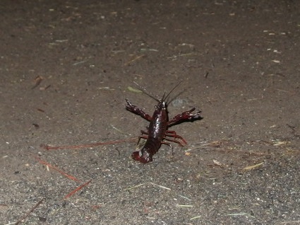 20170930park17.jpg