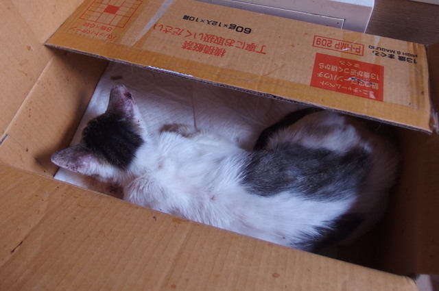 20171002mizu01.jpg