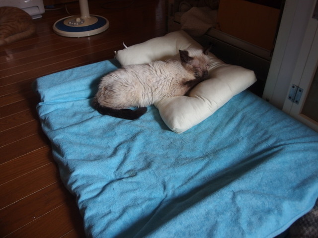 20171008milk01.jpg