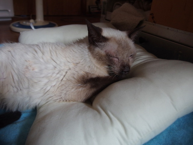 20171008milk02.jpg