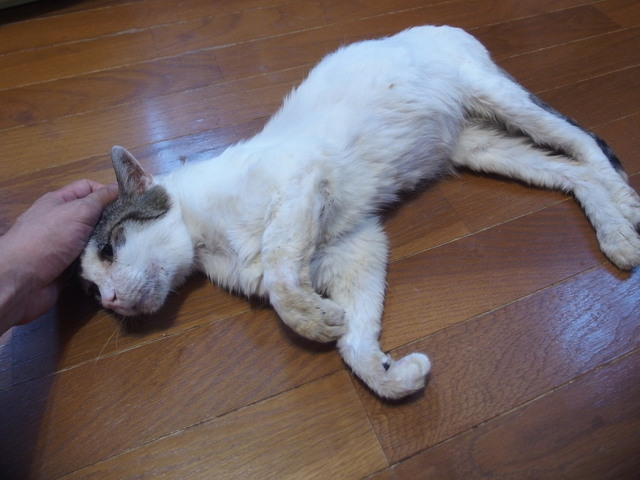 20171015mizu01.jpg