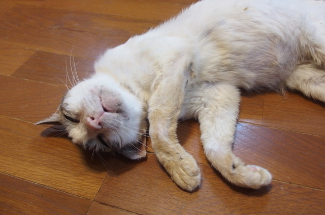 20171015mizu02.jpg