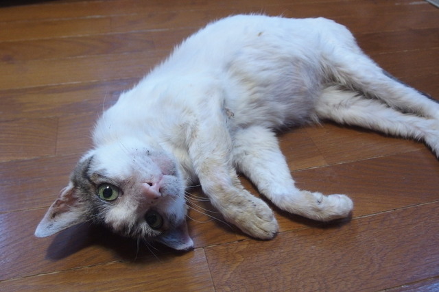 20171015mizu03.jpg