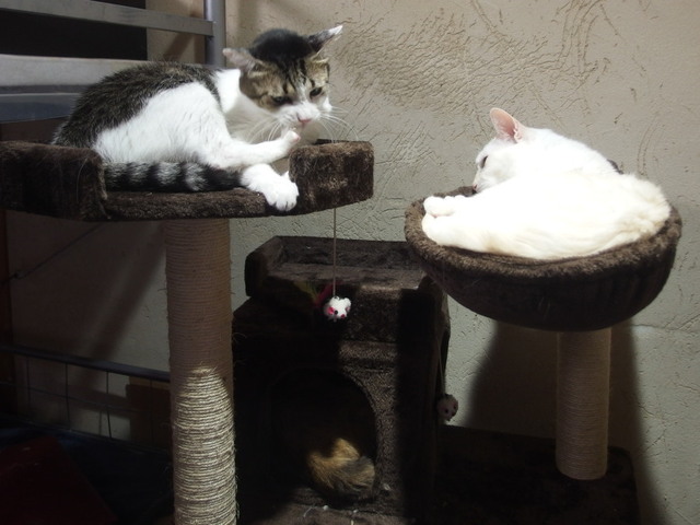 20171022tower01.jpg