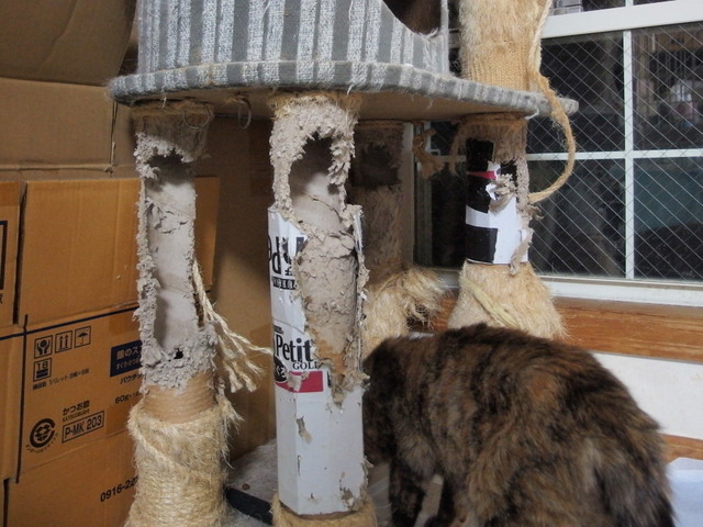 20171024tower01.jpg