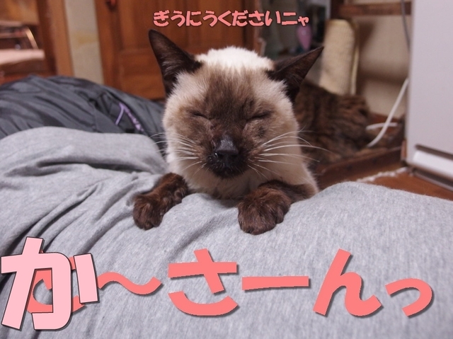 20171029milk01.jpg