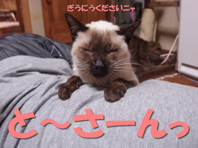 20171029milk01.jpg