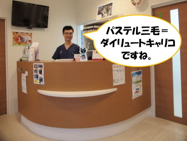 20171105inaba01.jpg