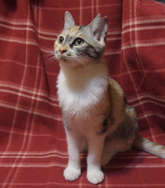 20171106mikeno02.jpg