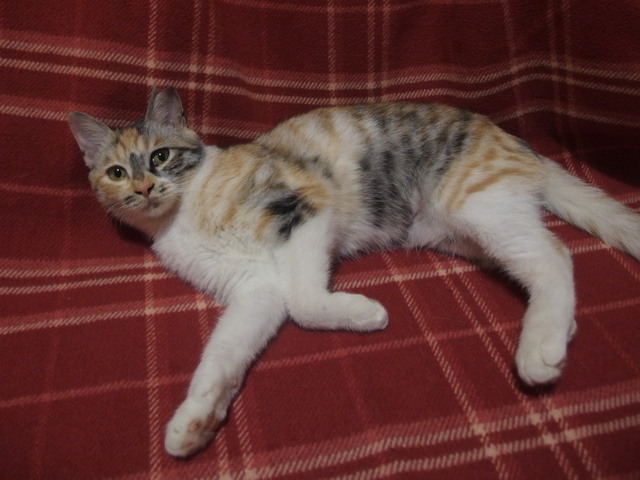 20171106mikeno03.jpg