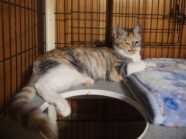 20171109mikeno02.jpg